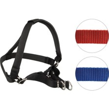 Feyza Design Yumuşak Dokulu Köpek Bel Tasması No:2, Konforlu ve Şık Tasarım