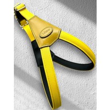 Feyza Design Yumuşak Dokulu Ayarlanabilir Köpek Göğüs Tasması, Rahat ve Şık Tasarım