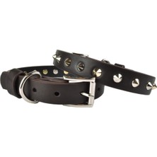 Feyza Design Şık Orta Boy Deri Köpek Tasması, 45 Cm, Güvenli ve Dayanıklı Tasarım