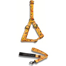 Feyza Design Renkli Köpek Göğüs Tasması ve Gezdirme Kayış Seti, Rahat ve Şık Tasarım