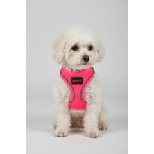 Feyza Design Renkli ve Şık Büyük Boy Köpek ve Kedi Göğüs Tasması Seti