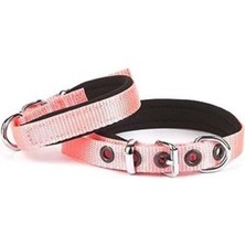 Feyza Design Yumuşak Dokuma Köpek Boyun Tasması, Orta Boy, Pembe, 1.5X25-30 cm