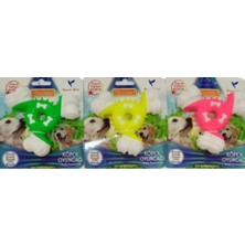 Feyza Design Çocuklar Için Renkli Plastik Kemik Dental Ufo, Eğlenceli ve Sağlıklı Diş Bakımı