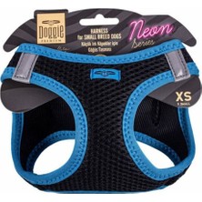Feyza Design Neon Havalı Köpek Göğüs Tasması, Mavi, Xsmall, 30-34 cm
