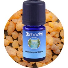 Oshadhi Frankincense Sacra 5ml