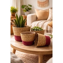 Hbs Art Design Hasır Saksılık Poşetli 4lu Set  Bordo Detaylı