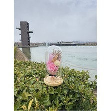 PremiumPort Pembe Gül Buketi Cam Fanus, Sevgi Dolu Hediye, Özel Anlar Için Mükemmel