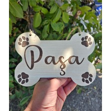 Feyza Design Renkli Köpek Kulübesi ve Isimlik Seti, Konforlu ve Şık Tasarım