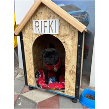 Feyza Design Küçük Irklar Için Şık ve Konforlu Köpek Kulübesi