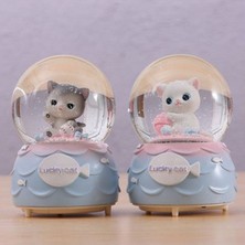 PremiumPort Tatlı Kedi Orta Boy Işıklı Müzikli Kar Küresi, Beyaz