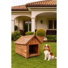 Feyza Design Doğal Ahşap Dış Mekan Köpek ve Kedi Evi, Şık ve Dayanıklı Tasarım