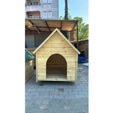 Feyza Design Rahat ve Güvenli Köpek Kulübesi, Dayanıklı ve Şık Tasarım