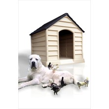 Feyza Design Yüksek Geniş Isı Yalıtımlı Havalandırmalı Köpek Evi, Konforlu Yuva