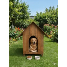 Feyza Design Orta Boy Doğal Ahşap Dış Mekan Köpek Evi, Güvenli ve Şık Tasarım