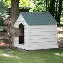 Feyza Design Genis ve Dayanıklı Büyük Boy Plastik Köpek Kulübesi, Konforlu Alan