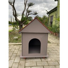 Feyza Design Şık ve Dayanıklı Demonte Köpek Kulübesi, Kolay Montajlı ve Şeffaf Tasarım