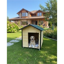 Feyza Design Büyük Boy Dış Mekan Köpek Kulübesi, Dayanıklı ve Konforlu Tasarım