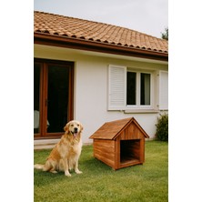 Feyza Design Orta Boy Ahşap Dış Mekan Köpek Evi, Şık ve Dayanıklı Tasarım