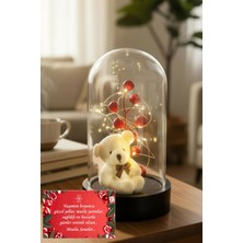 PremiumPort Çiçekli Ayıcık ve Kokina LED Işıklı Fanus Yılbaşı Dekorasyonu