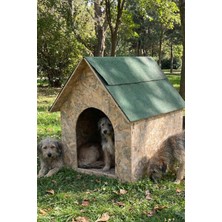 Feyza Design Büyük Boy Köpek Kulübesi Osb Xl, Yeşil Çatı, 100X100X78 cm