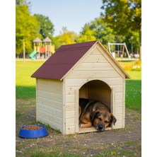 Feyza Design Büyük Boy Ahşap Köpek Kulübesi, Dayanıklı ve Şık Tasarım