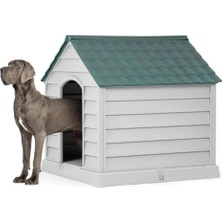 Feyza Design Genç ve Büyük Köpekler Için Dayanıklı Dış Mekan Plastik Kulübe, Yeşil ve Taş Gri Renk