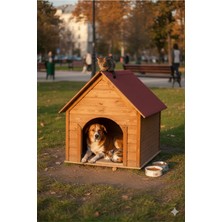 Feyza Design Dayanıklı Ahşap Köpek Kulübesi, Büyük, Sıcak ve Soğuk Havalara Uygun