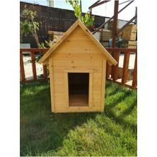 Feyza Design Doğal Ahşap Köpek Kulübesi, Şık ve Dayanıklı Ev Konforu