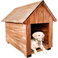 Feyza Design Dayanıklı Ahşap Dış Mekan Köpek Kulübesi, Konfor ve Güvenlik Sağlar