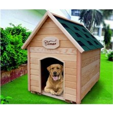 Feyza Design Ahşap Köpek Kulubesi Midi Boy, Güvenli ve Şık Tasarım
