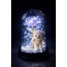 PremiumPort Işıklı Ayıcıklı Fanus, Özel Günler Için Seçkin Hediye Süsü