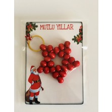 PremiumPort 10 Adet Yıldız Anahtarlık Seti, Yeni Yıl Hediyesi, Şık ve Renkli Tasarım