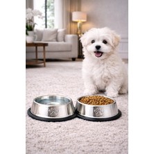 Feyza Design Devrilmez Paslanmaz Çelik Kedi ve Köpek Mama ve Su Kabı 18 cm 300 ml