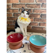 Feyza Design Yüksek Mama Su Kabı, El Yapımı Seramik, 15 Cm, Şık ve Dayanıklı