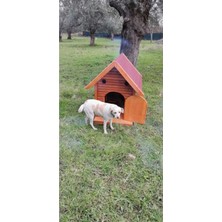 Feyza Design Doğal Ahşap Köpek Kulübesi, Sağlıklı ve Güvenli Ev Konforu