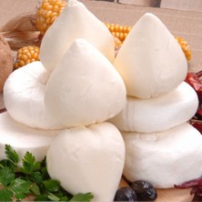 Mutlunun Huzur Bahçesi Birecik Yöresinin Taze Köy Peyniri | Doğal Katkısız, Tam Yağlı İnek Sütünden – 5 KG Lezzet