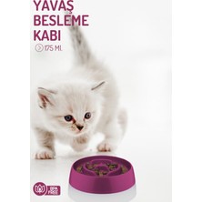 Feyza Design Yavaş Besleme Gıda Kabı, Küçük Boy, Pratik ve Kullanışlı