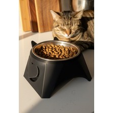 Feyza Design Yüksek Ayaklı Kedi Mama Kabı, Eğik Tasarım, Metal, Konforlu ve Şık