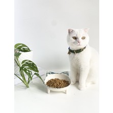 Feyza Design Yeşil Desenli Seramik Kedi Mama ve Su Kabı, Şık ve Kullanışlı Tasarım