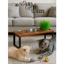 Feyza Design Eğimli, Dayanıklı Mama ve Su Standı, Şık ve Evcil Dostu Tasarım