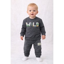 Füme Renkli Bebek Takım Babycoy