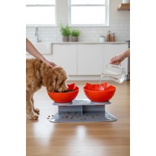 Feyza Design Iki Hazneli Gri Standlı Kedi Mama ve Su Kabı 350 ml