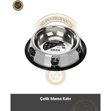 Feyza Design Paslanmaz Çelik Kedi ve Köpek Mama Kabı, 610 Ml, Medium