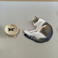 Feyza Design Sevimli Kedi Şekilli Seramik Kase, Günlük Kullanım Için Mükemmel Seçim