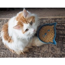 Feyza Design Yüksek Ayaklı Seramik Kedi ve Köpek Mama ve Su Kabı, Şık ve Kullanışlı