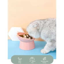 Feyza Design Eğimli Plastik Mama ve Su Kabı, Boyun Koruyucu, Pembe