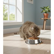 Feyza Design Kaymaz Taban Paslanmaz Metal Kedi Köpek Mama ve Su Kabı 22 cm