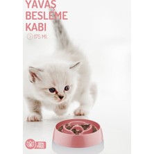 Feyza Design Yavaş Besleme Kabı, Gıda Dağıtıcı, Küçük Boy, Sağlıklı Yemeğe Uygun