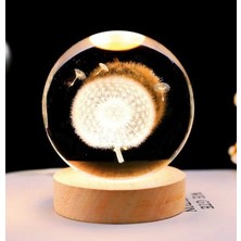 PremiumPort Doğal Karahindiba Temalı Cam Küre, Zarif ve Şık Dekorasyon Parçası