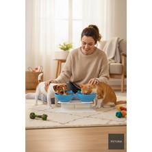 Feyza Design Iki Hazneli Beyaz Kedi Mama ve Su Kabı, Standlı, 350 ml